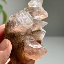 Load image into Gallery viewer, Pink Calcite Crystal Cluster | Daye Mine China | Natural Mineral Specimen
