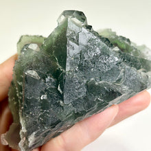 Load image into Gallery viewer, Rare Deep Green Nipple Fluorite Cluster Raw Fluorite Specimen Natural Green Mineral Collectible Display Stone
