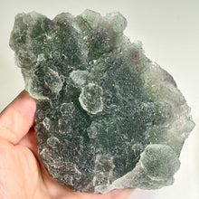 Load image into Gallery viewer, Large Green Nipple Fluorite Thick Frosted Raw Fluorite Cluster Natural Mineral Specimen

