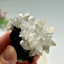 Load image into Gallery viewer, Dogtooth Calcite Cluster with Anatase Inclusions on Black Matrix | Natural Crystal Specimen from China
