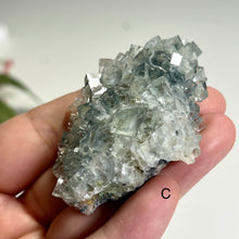 Load image into Gallery viewer, Glass Fluorite Crystal Cluster– Green Cubic Fluorite with Pyrolusite on Matrix
