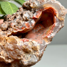 Load image into Gallery viewer, Rare - Rare Fire Agate Geode – Argentina
