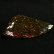 Load image into Gallery viewer, Premium Ammolite Fossil Slice from Canada — Vivid Red &amp; Green Fire Iridescence | Rare Gem-Grade Ammonite Shell
