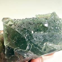 Load image into Gallery viewer, Rare Deep Green Nipple Fluorite Cluster Raw Fluorite Specimen Natural Green Mineral Collectible Display Stone

