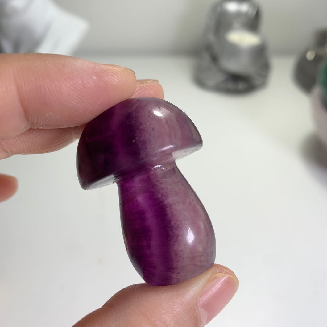 High quality - fluorite mushrooms (blind pick)