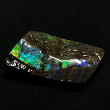 Load image into Gallery viewer, Premium Blue &amp; Green Fire Ammolite Fossil from Canada — Iridescent Gem-Quality Ammolite Slice

