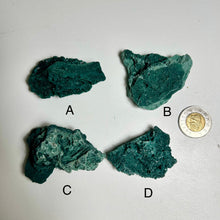 Load image into Gallery viewer, Marshy Botryoidal Chalcedony | Textured Green Chalcedony Crystal from India | Organic Bubble Form Mineral Specimen
