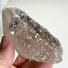 Load image into Gallery viewer, Quartz Crystal with Apophyllite Druzy | Secondary Growth Apophyllite on Quartz | Natural Mineral Specimen | Collector Display
