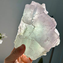 Load image into Gallery viewer, Large Natural Stepped Fluorite Cluster - High Clarity Bi-Color Fujian Crystal
