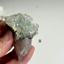 Load image into Gallery viewer, Glass Fluorite Crystal Cluster– Green Cubic Fluorite with Pyrolusite on Matrix
