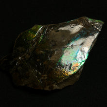 Load image into Gallery viewer, Natural Green &amp; Blue Fire Ammolite Fossil from Canada — Large Iridescent Ammonite Shell Slice
