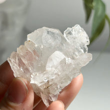 Load image into Gallery viewer, Natural Colombian Faden Quartz Cluster
