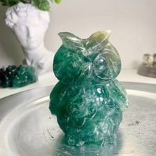 Load image into Gallery viewer, High quality - large size fluorite owl
