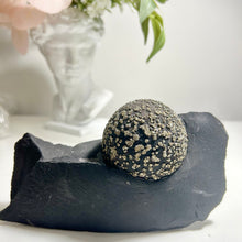 Load image into Gallery viewer, Yunnan Pyrite concretion on Matrix
