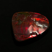 Load image into Gallery viewer, Premium Red Fire Ammolite Fossil from Canada — Gem-Grade Ammonite Slice with Deep Crimson Iridescence
