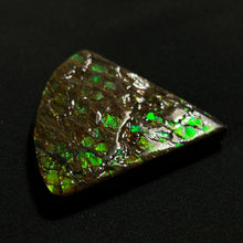 Load image into Gallery viewer, Premium Green Fire Ammolite Fossil from Canada — Dragon-Scale Iridescence | Vibrant Ammolite Slice
