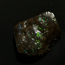 Load image into Gallery viewer, Natural Ammolite Fossil from Canada — Green &amp; Blue Iridescence | Genuine Ammonite Shell Slice
