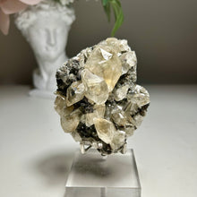 Load image into Gallery viewer, Rare - Top Quality Yellow Calcite on Matrix with Pyrite – Anhui, China
