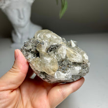 Load image into Gallery viewer, Rare - Top Quality Yellow Calcite on Matrix with Pyrite – Anhui, China
