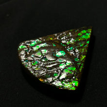 Load image into Gallery viewer, Premium Green Fire Ammolite Fossil from Canada — Dragon-Scale Iridescence | Vibrant Ammolite Slice
