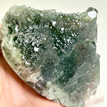 Load image into Gallery viewer, Rare Deep Green Nipple Fluorite Cluster Raw Fluorite Specimen Natural Green Mineral Collectible Display Stone
