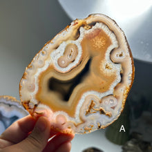 Load image into Gallery viewer, Top Quality Brazilian Agate Slice – Natural Banding, Blue Center &amp; Artistic Patterns
