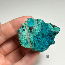 Load image into Gallery viewer, Natural Chrysocolla on Matrix from Peru | Blue Green Copper Mineral Specimens | Select A or B
