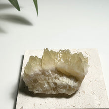 Load image into Gallery viewer, Dog-tooth Calcite Cluster in Soft Yellow — Natural Pointed Calcite Crystal for Home Decor &amp; Collection
