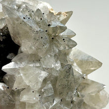 Load image into Gallery viewer, Dogtooth Calcite Cluster with Anatase Inclusions on Black Matrix | Natural Crystal Specimen from China
