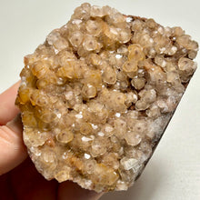 Load image into Gallery viewer, Golden Grape Calcite Cluster – Natural Botryoidal Calcite for Home Decor and Crystal Collection
