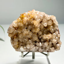 Load image into Gallery viewer, Golden Grape Calcite Cluster – Natural Botryoidal Calcite for Home Decor and Crystal Collection
