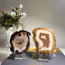 Load image into Gallery viewer, Top Quality Brazilian Agate Slice – Natural Banding, Warm Earth Tones &amp; Crystal Center
