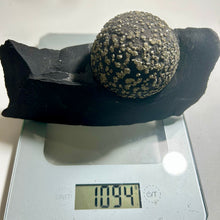 Load image into Gallery viewer, Yunnan Pyrite concretion on Matrix
