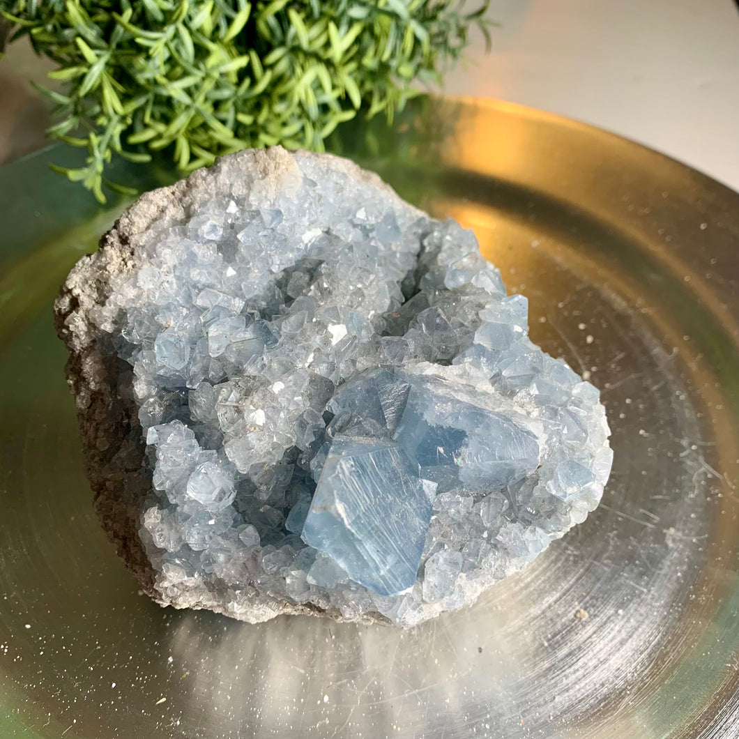 High quality gemmy blue celestite cluster / celestite geode