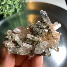 Load image into Gallery viewer, New found - green chlorite lemurian quartz cluster 18
