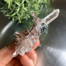 Load image into Gallery viewer, New found - green chlorite pink lemurian quartz cluster 22
