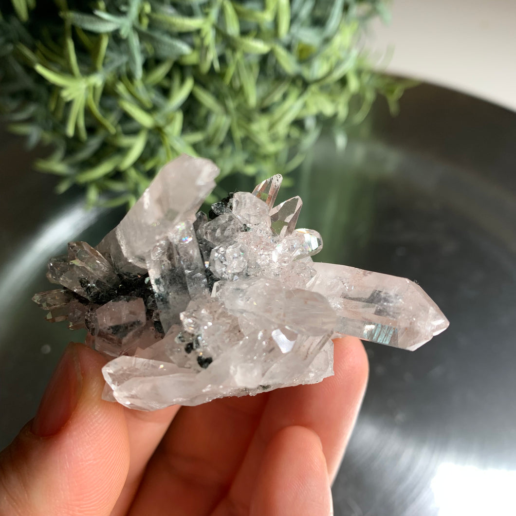 New found - green chlorite lemurian quartz cluster / Columbia quartz 19