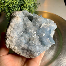 Load image into Gallery viewer, High quality gemmy blue celestite cluster / celestite geode
