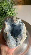 Load and play video in Gallery viewer, Top quality blue celestite geode celestite cluster
