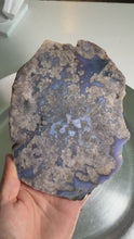 Load and play video in Gallery viewer, High quality - blue flower agate slab / slice
