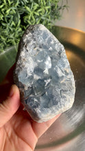 Load and play video in Gallery viewer, High quality gemmy blue celestite crystal celestite cluster
