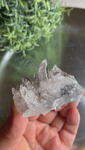 Load and play video in Gallery viewer, New found - green chlorite lemurian quartz cluster 15

