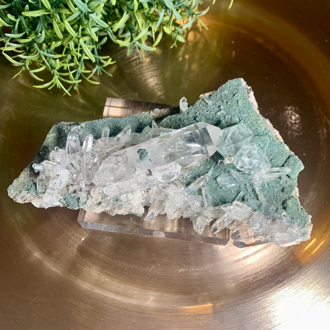 New found - green chlorite lemurian quartz cluster from columbia