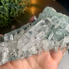 Load image into Gallery viewer, New found - green chlorite lemurian quartz cluster from columbia
